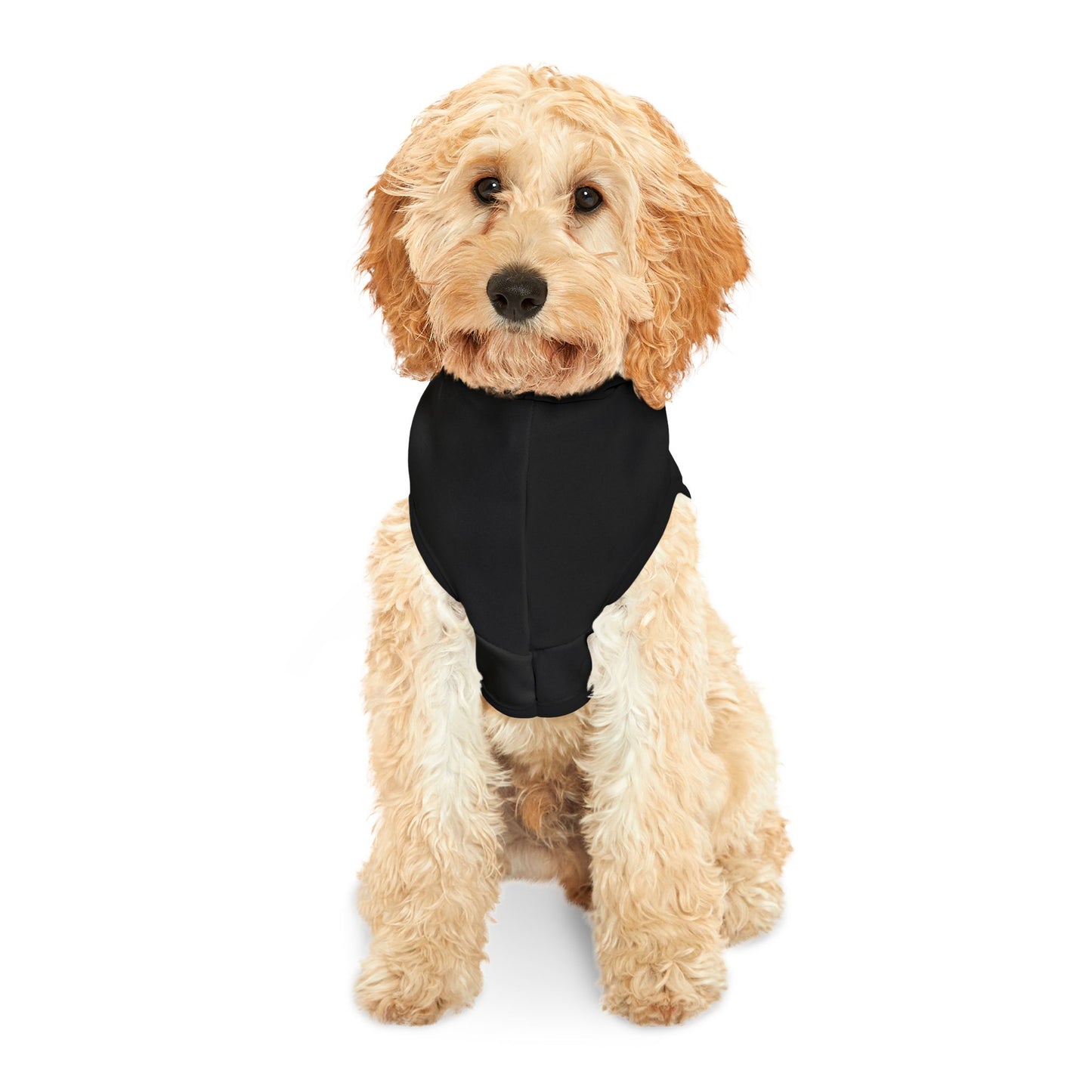 God and Family Pet Hoodie