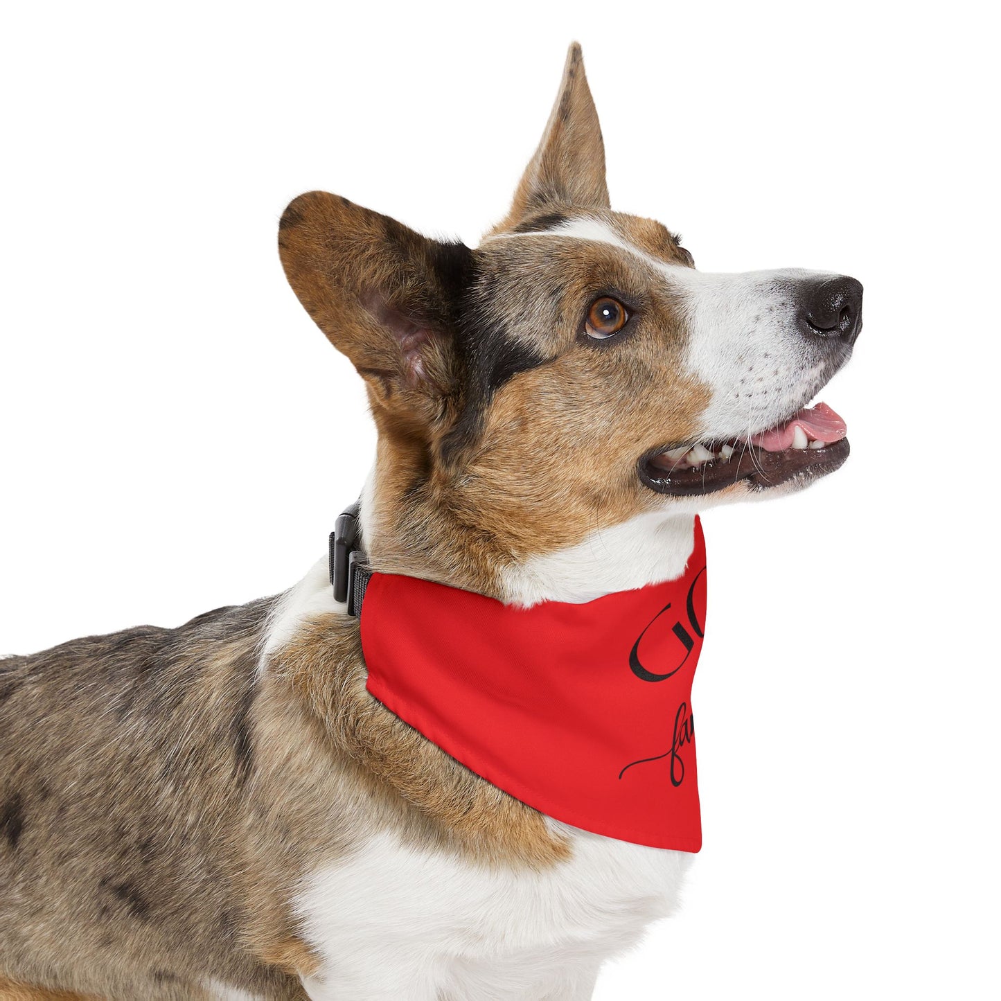 God and Family Pet Bandana Collar